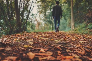 Balade nature "Hommes et espèces sauvages une cohabitation possible"