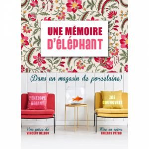 Une mémoire d'éléphant (dans un magasin de porcelaine)