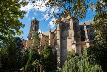 Cathédrale Saint-Etienne - Visite guidée
