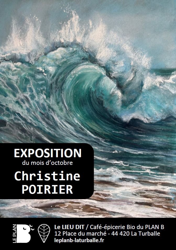 Exposition d'octobre : Christine POIRIER