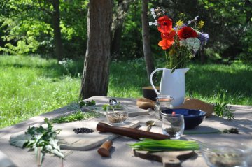 Balade découverte et cuisine sauvage