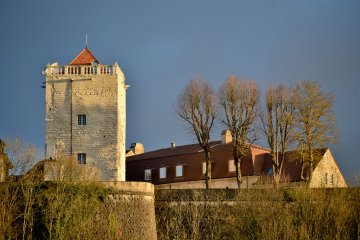 Visite guidée du donjon des Comtes de Champagne à Chaumont