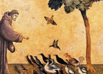 Visite commentée : Création & créations végétales, les 800 ans de Saint François d'Assise