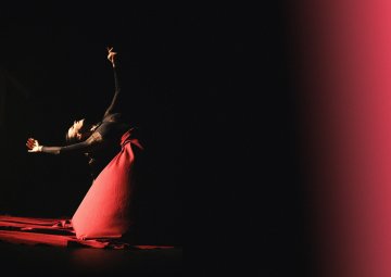 La Salida / Danse