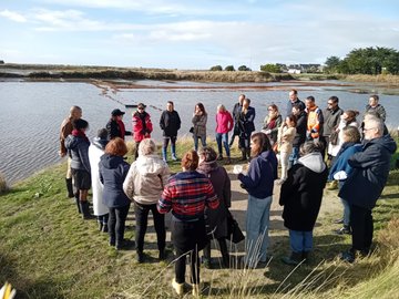 Saillé, du village au marais entre patrimoine et biodiversité