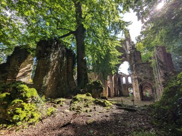 Journées du Patrimoine - Découverte de l'Abbaye de Trois-Fontaines