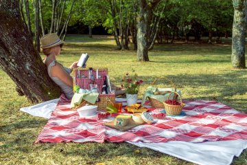 Fantastic Picnic  "Cueillir l'instant"