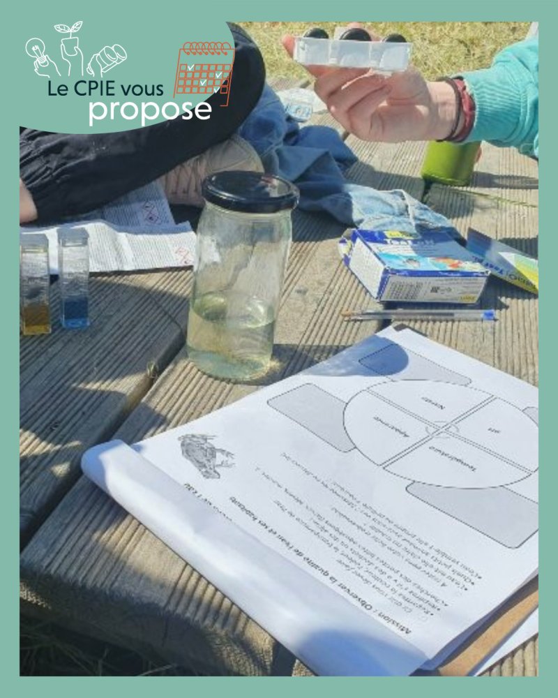 Appel à candidature : commencez avec nous une Aire Terrestre Educative ! 🦔