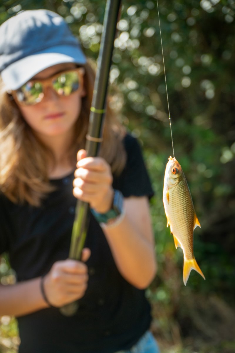 Les mercredis de la pêche