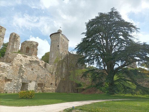 Le château au fil des pierres et de l'histoire