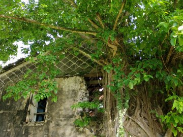 VISITE COMMENTÉE DE L'HABITATION DUFFERET