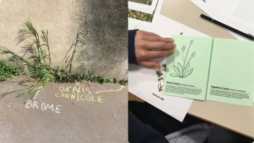 Atelier de graffiti botanique
