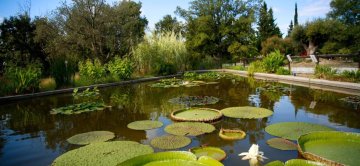 Visite libre de l'arboretum