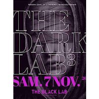 The dark lab 3