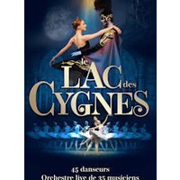 Le lac des cygnes