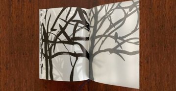 Le livre d'artiste sort de sa réserve, découverte pour un public jeunesse