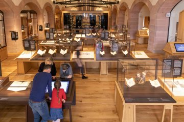 Découverte guidée de la collection permanente d'une bibliothèque humaniste