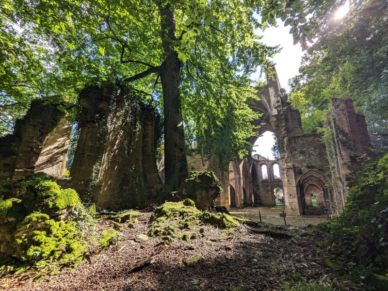 Découverte de l'Abbaye cistercienne de Trois-Fontaines