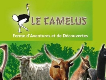LE CAMELUS, FERME PEDADAGOGIQUE A GUYVELDE