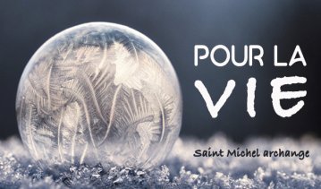 Pèlerinage pour la Vie
