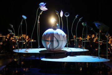 Spectacle "Momo, l'enfant pêche"