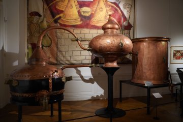 Visite commentée : distiller le monde, un voyage au cœur du vivant