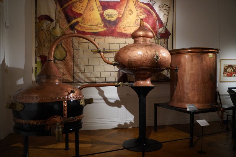 Visite commentée : distiller le monde, un voyage au cœur du vivant