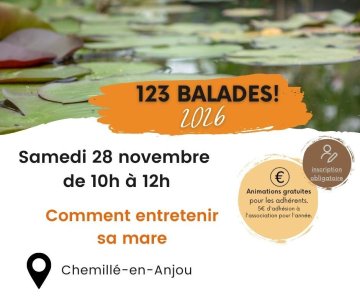 Comment entretenir sa mare