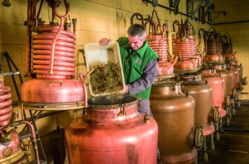 Visite guidée de la Distillerie - Verveine du Velay Pagès