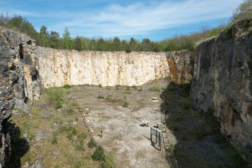 Visite commentée de la Reserve Naturelle Nationale du Bois du Parc
