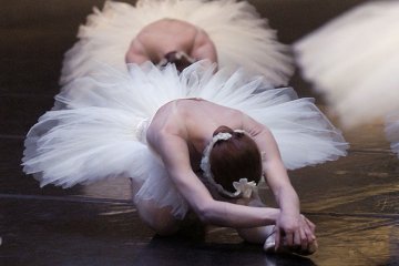 Spectacle "Le Lac des Cygnes"