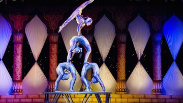 Sacré cirque 5 !