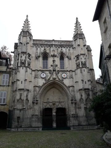 Visite de la Basilique Saint-Pierre
