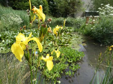 Jardin botanique de l'Université Paris-Saclay