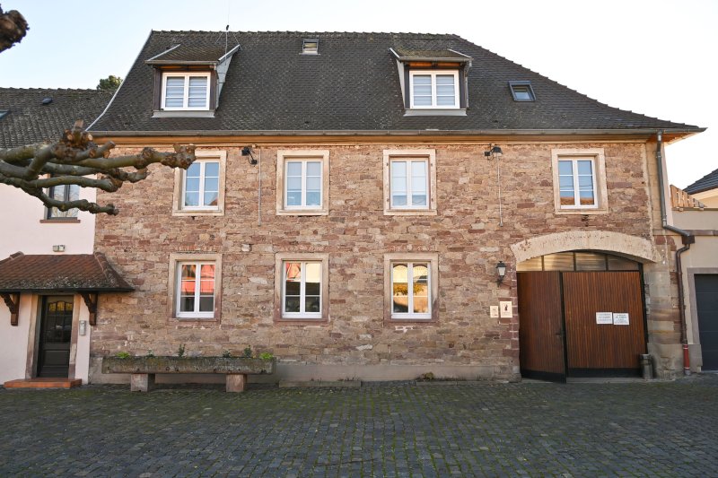 Visite guidée au Domaine Siebert