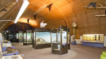 Visite libre de l'exposition "Le Blésois, carrefour de régions naturelles"