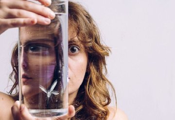 Maringouin, pour en finir avec l'anxiété peut-être