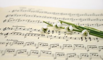 Les moments musicaux