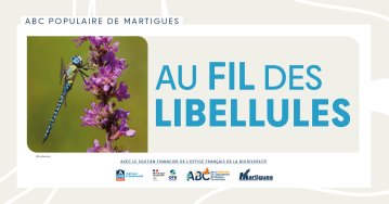 ABC populaire : "Au fil des libellules"