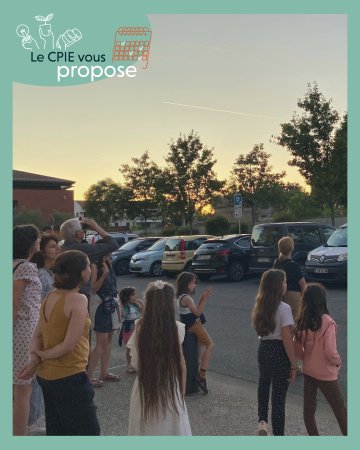 Balade : Au crépuscule, à la rencontre de la vie nocturne 🦇