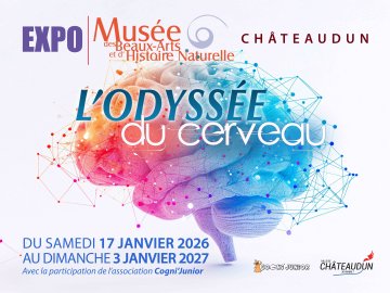 L'odyssée du cerveau