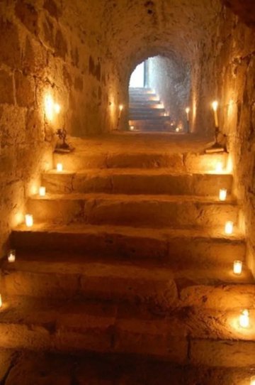 Visite guidée de la crypte gothique