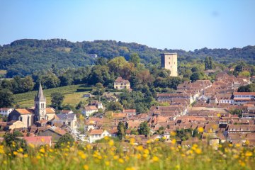 Visite guidée d’Orthez, ancienne capitale de la vicomté du Béarn