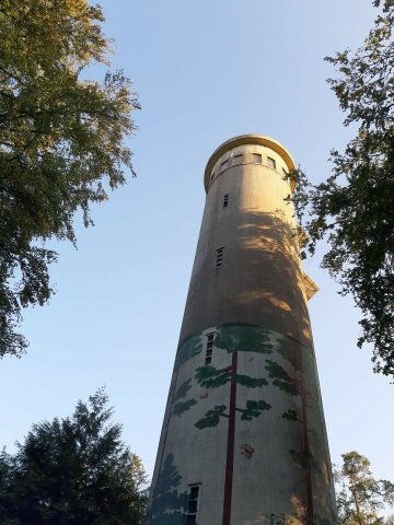 Visite libre du belvédère de Perseigne