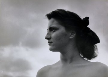 Musée Réattu, une collection photographique pionnière