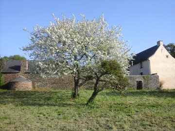 Visite guidée d’un manoir du XVe siècle