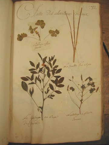Visite guidée du fonds ancien