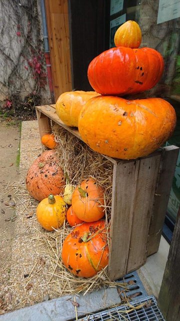 Concours de citrouille d'Halloween
