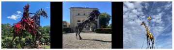 Les taxidermistes ferrugineux