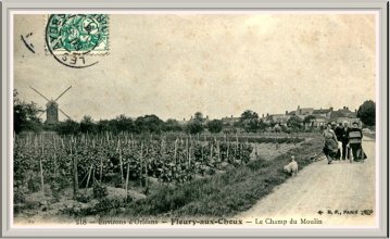 Et si Fleury m'était contée ...